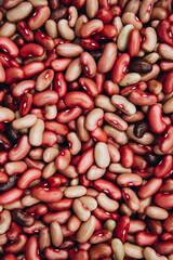 Closed background of many beans of pink-red color. Bean texture, selective focus