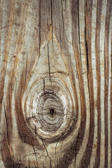 Detailed wood texture with knot and grain close-up