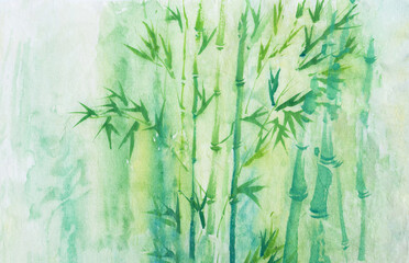 Bamboo Forest. Drawing by hand. 