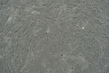 Crabs holes on beach sand, view from above. Ghost crab making sand balls on the beach. Home of a Ghost crab