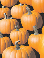 set of pumpkins isolated