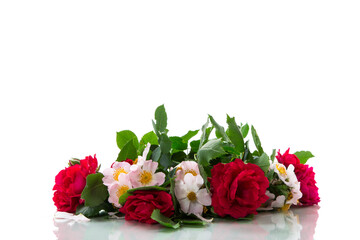 big bouquet of beautiful red and pink roses on white background