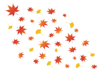 葉吹雪_紅葉_もみじ_イチョウ
