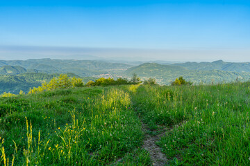 Path in grass. Carpathians mountains landscapes, Apetska mountain.