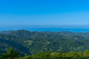Carpathians mountains landscapes from green meadow on sunrise, Apetska mountain.