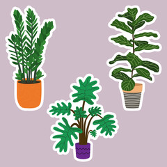 Stickers collection with potted house plants. Natural green home decor. Flat vector illustration isolated