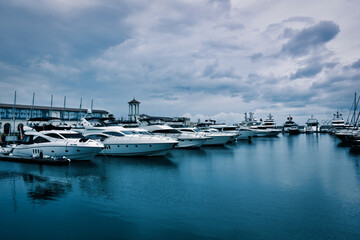 boats in the harbor