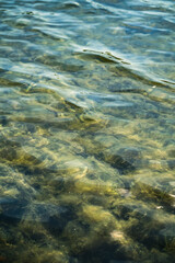 Super clear water in a shallow pond