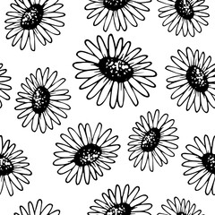 Hand drawn seamless pattern with chamomile. Camomile in realistic style. Vector wildflower sketch. Outline. Floral wallpaper or wrapping.