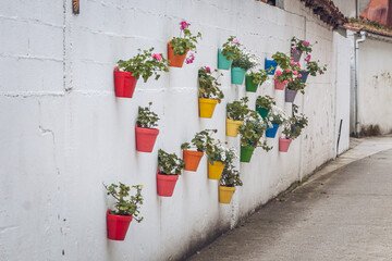 White wall with colorful potted flowers in Galicia, Spain