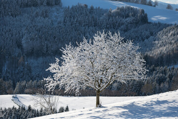 Mostviertel in winter