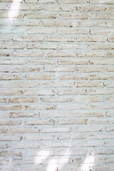 The wall is made of brick and then painted in white. There are creepers on the left wall. This wall is popular in English style. Also known as a vintage style. as background with copy space.