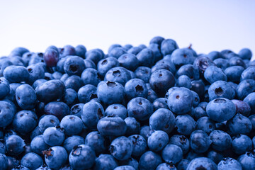 Fresh blueberry background isolated on white.