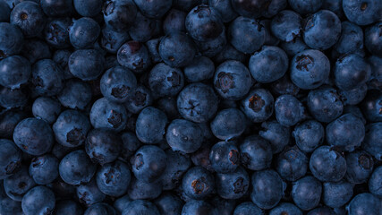 Blueberries in a plastic container isolated on white background.