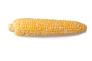 Yellow corn isolated on white background. Copyspace.