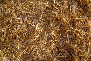 Haystacks background, texture. Wheat gold hay in field.
