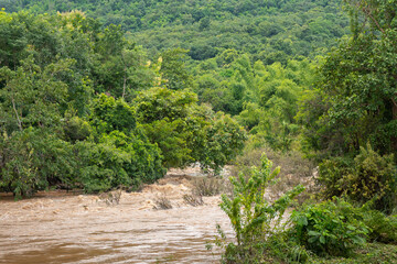 Fototapeta na wymiar Muddy strong water inundation from the hill side due to heavy storm weather, Disaster scene photo.