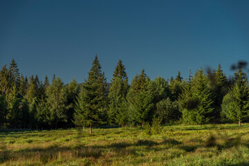 Summer Slovakia morning with blue sky and green forest