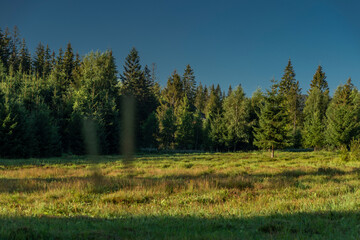 Fototapeta premium Summer Slovakia morning with blue sky and green forest