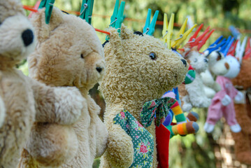 Teddy Bär