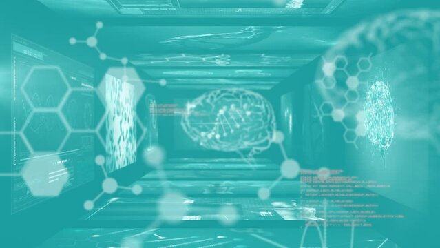 Animation of scientific data with molecules, dna and human brain on digital interface