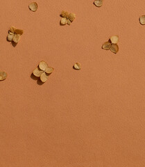 Dried autumn small hydrangea flowers on the brown background frame. Top view. Copy space	