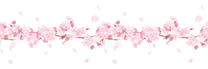 桜の水彩イラスト。横ライン装飾。シームレスパターン。（透過背景）