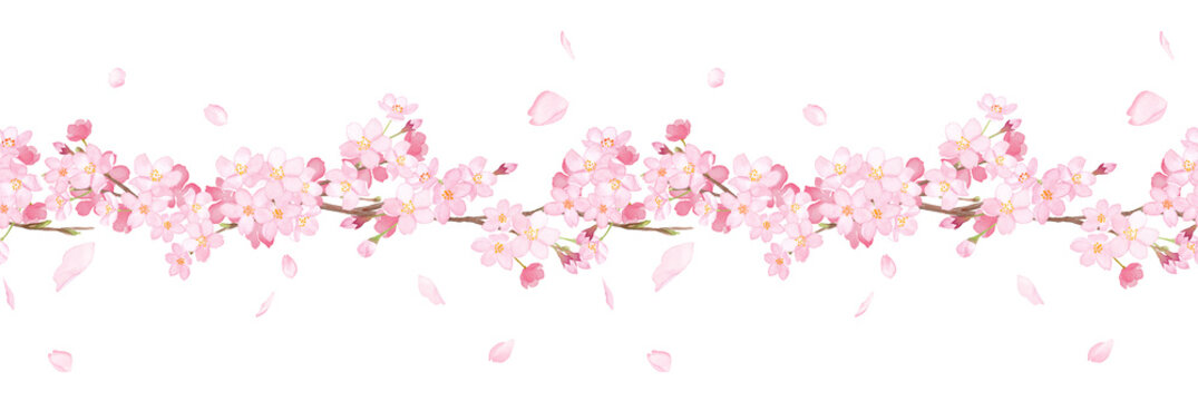 桜の囲み」の写真素材 | 1,489件の無料イラスト画像 | Adobe Stock