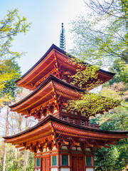 Three-storied pagoda at the Joruri-ji Tempke in Kizugawa City, Kyoto, National Treasure of Japan