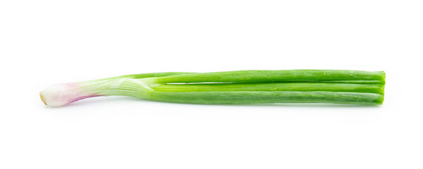 green onion isolated on white background