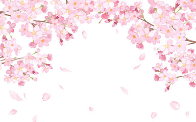 Obraz na płótnie Canvas 桜と散る花びらのアーチ型フレーム。水彩イラスト（ベクター。レイアウト変更可能）