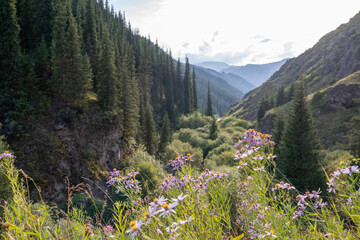 The Assy plateau is bordered by the Karach ridge and the Bokaydyntau mountains and from the south...