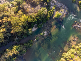river bird top view with rocks, sand and forest