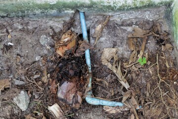 A mistake at the tree roots pushes the blue water pipe, bending away from normal.