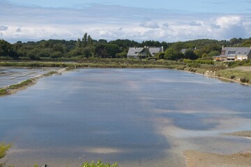 salt marsh in Brittany in summer