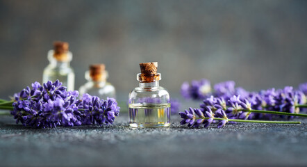 A bottle of essential oil with blooming lavender plant on gray background