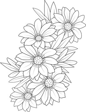 sketch of daisy flower vector clip art