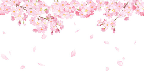 Obraz na płótnie Canvas 桜と散る花びらの横方向シームレスパターン。水彩イラスト。フレーム装飾。（透過背景）
