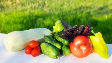 Various vegetables grown in the garden