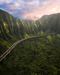 Fototapeten Highway 3, Koʻolau Range Mountains & Kāneʻohe Forest Reserve - Oahu, Hawaii Road into Mountain © SmallWorldProduction