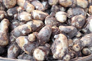 healthy Arbi stock on shop