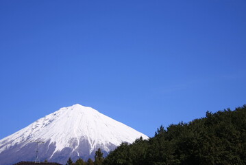 日本人のこころのふるさと富士山