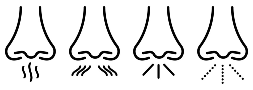 Nose icon set. Human nose symbols. Symbol for website design, logo, app, UI. Vector illustration EPS10