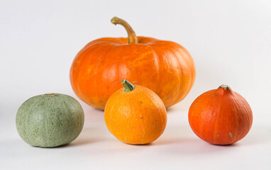 One big pumpkin and three small pumpkins isolated on white background.