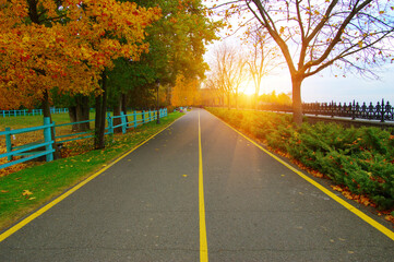 Fototapeta premium Autumn road in colorful park on sunset