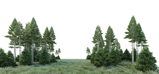 Coniferous forest on a transparent background  © jomphon