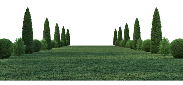 Pine garden decoration on a transparent background
