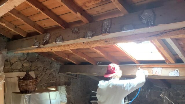 A Man Performing Chemical Treatment To Wood Boring Insects During House Renovation