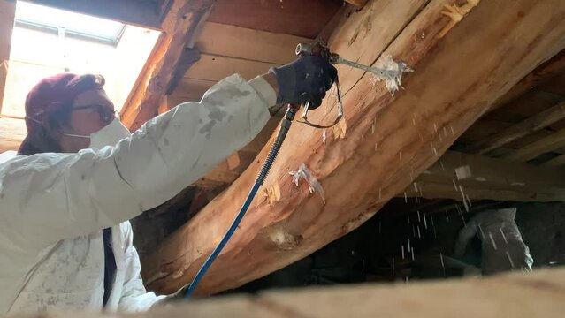 Pest Control Services - Worker Inject Preservative Treatment Against Wood Borers Insects