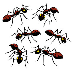 Six creepy crawly ants